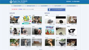 Right Pet 流浪孤狗案例封面