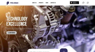 Pro unique案例封面