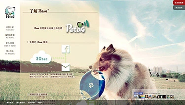 Petag 手護圈圈案例封面